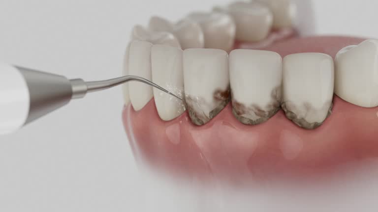 Reliable Dental contractor in West Bishop, CA by Dentist Open Now